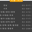 대성 태권도장 이미지