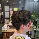 엘레강스·경