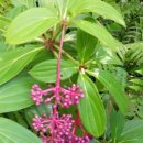 강동-길동-1275 이미지