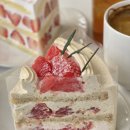 골드김밥마포점 | 연남 카페 추천 연남동 주택 카페 케이크 맛집 프루티에