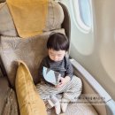 세서울어린이집 | 김포-오사카 아시아나 비즈니스석 기내식 유아식 어린이식 라운지 24개월 미만 아기랑
