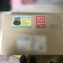 영초산삼 | [내돈내산] 산양삼 산양산삼 장뇌삼 후기