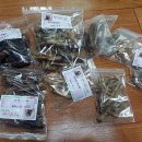 단이단비네 이미지