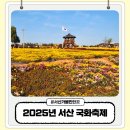 고북초등학교 | 서산 국화축제 2025 주차장 먹거리 주말 방문 후기
