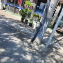 그린파크장 | 파크골프채 세트 대여해서 1일 라운딩 이천 토루마징 파크골프장