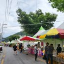 단양토종마늘순대 이미지