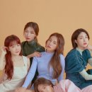 톱제화 이미지