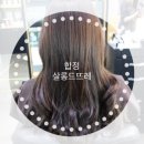 살롱드뜨레