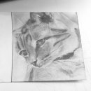 개냥아치 이미지