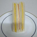 이소콘도 이미지