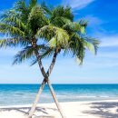 강릉별이빛나는밤에펜션 이미지