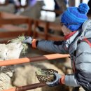 삼삼오오목장 이미지