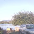 명지낚시터 이미지