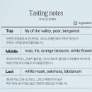 올리브영 향수 추천 아뜰리에페이 마이스킨 벗 베러 내돈내산후기 살냄새 향수 가격 후기