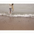 코모도호텔 포항 송도 이미지