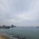 위더스오션 이미지