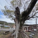 삼동면행정복지센터 이미지