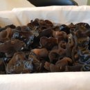 진한농장 이미지