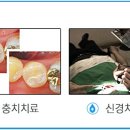 마음에치과의원 이미지