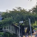 수련원길 이미지