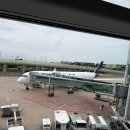 ? | 루프트한자 이코노미 기내식, 좌석 후기