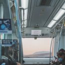 김해공항 국제선 입국심사 짐검사 후 식당 편의점 카페 면세품인도장 후기