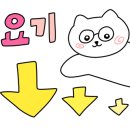 박스 더 영월 이미지