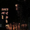 세종호수공원 제1주차장 | 2025 세종호수공원 낙화 축제 후기 | 세종 낙화 축제, 밤하늘에 꽃비가 내리던 순간