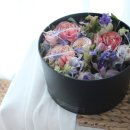 인마망마카롱 이미지