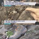 사진작가 동호회 수준 이미지