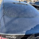 광손세차 이미지