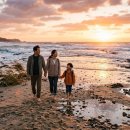 신비의바닷길민박 | 진도 신비의 바닷길 축제, 부모님 효도 관광 성공하는 꿀팁 5가지