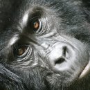 gc-camera-016 이미지