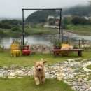 강나루 황토집 이미지