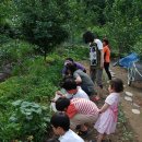 그린팜스테이 이미지