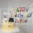 듀잇(deww-it) 이미지