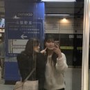 양스 이미지