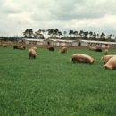 환경오염 이미지