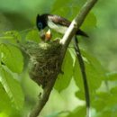 동구기초푸드마켓 이미지