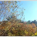 내서면 노류리 이미지