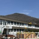 충북괴산 꿀벌랜드 리뉴얼 후 다녀온 후기, 폐교카페 실내외 놀이시설