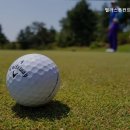 벨라스톤 컨트리클럽 이미지