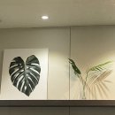 백운한방병원 이미지