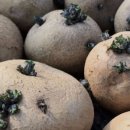 광전농장 이미지