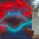 연평도 목포 산꽃게 이미지
