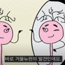 거울뉴런과 공감 이미지