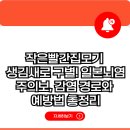 빨간집 이미지