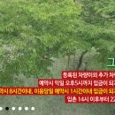 그린오토카 이미지