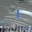 가자 펫택시 | 대련을 아시나요 (대련 2박3일 여행과 쇼핑리스트)