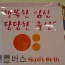 메디버스 이미지